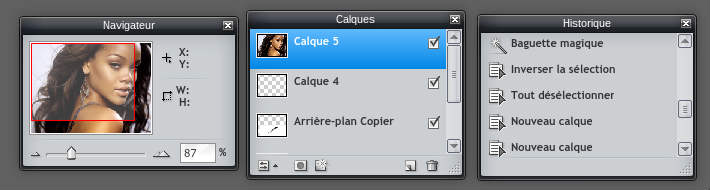 Fenetre navigateur calque historique pour retoucher