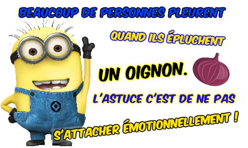 photo montage minions